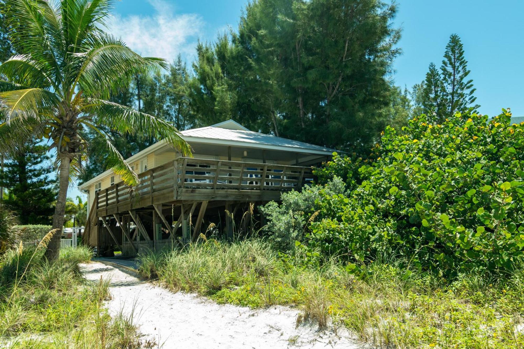فيلا The Tiki House هولمز بيتش المظهر الخارجي الصورة